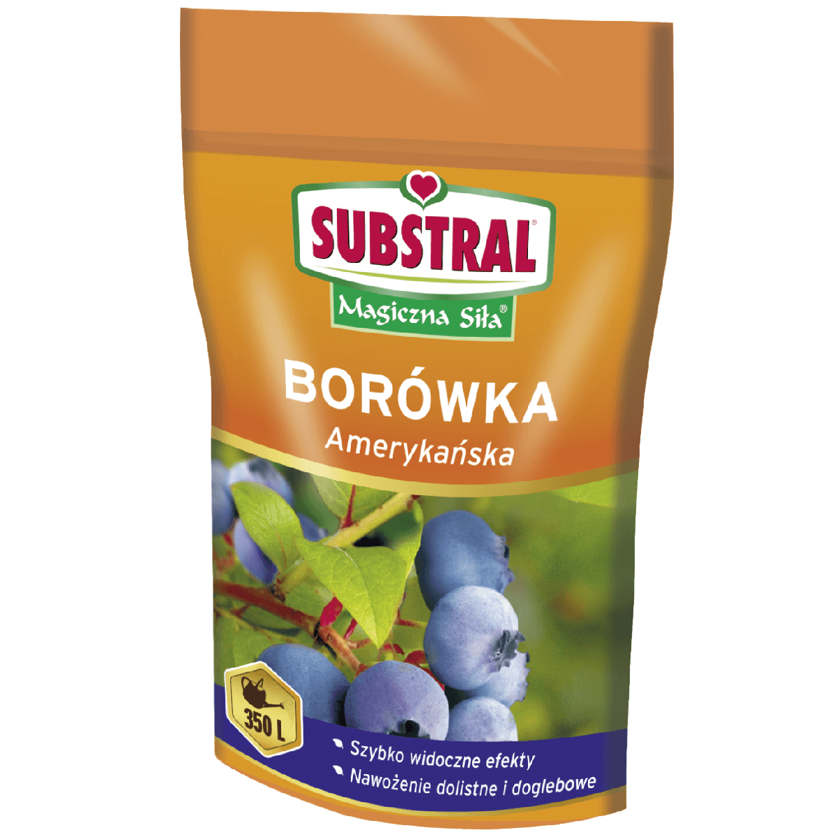 Substral Magiczna Siła Borówka Amerykańska 350g - nawóz do borówek