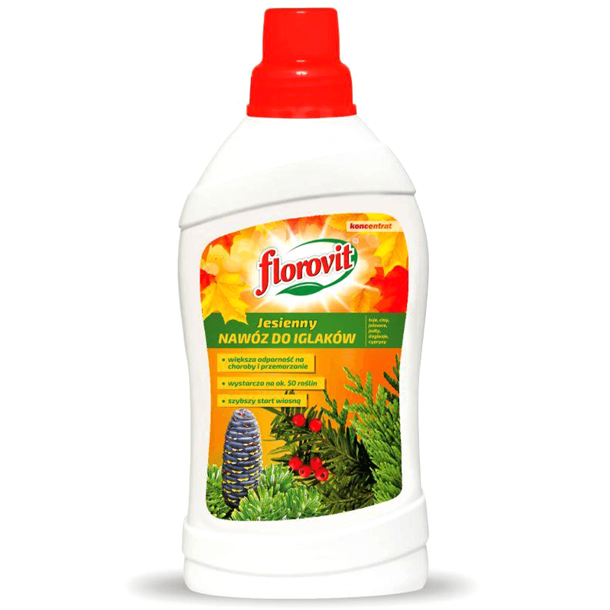 Nawóz do iglaków jesienny Florovit - płynny - 1kg butelka