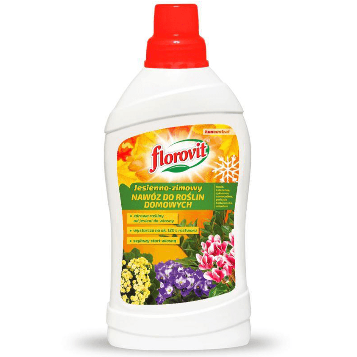 Nawóz do roślin domowych jesienno-zimowy Florovit - płynny - 1kg butelka