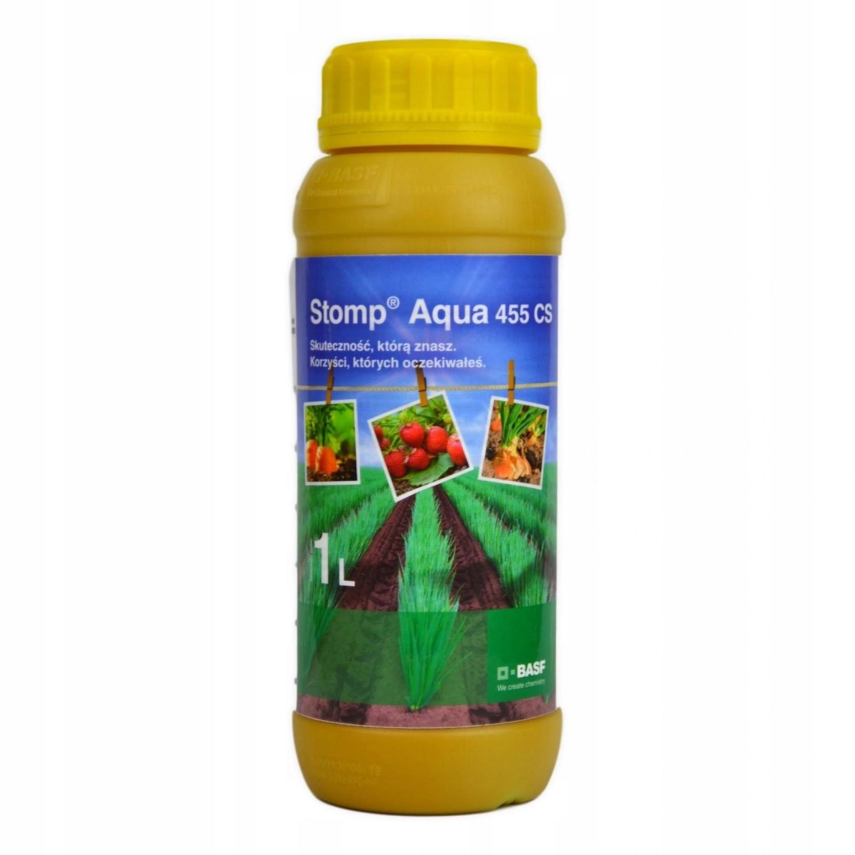 Stomp Aqua 455 CS 1L